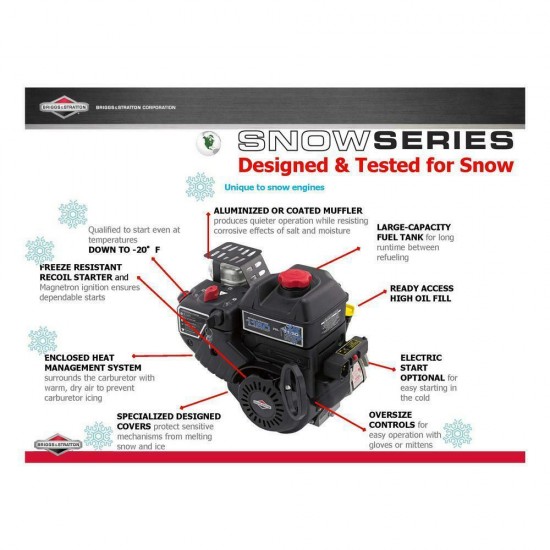 Single Stage Gas Snow Blower Recoil Start Briggs & Stratton Engine 22