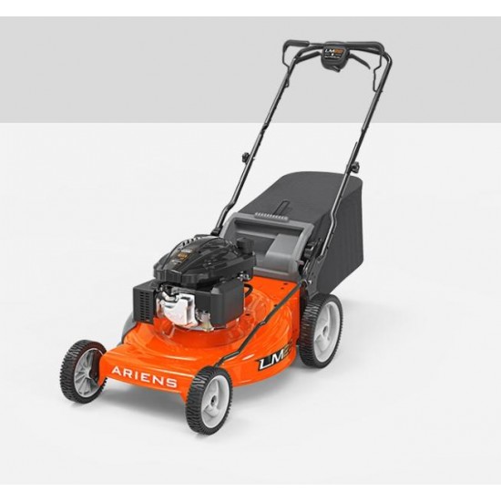 ARIENS 21