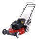 Recycler 21 in. Briggs and Stratton Low Wheel RWD Gas Walk Behind Self Lawn