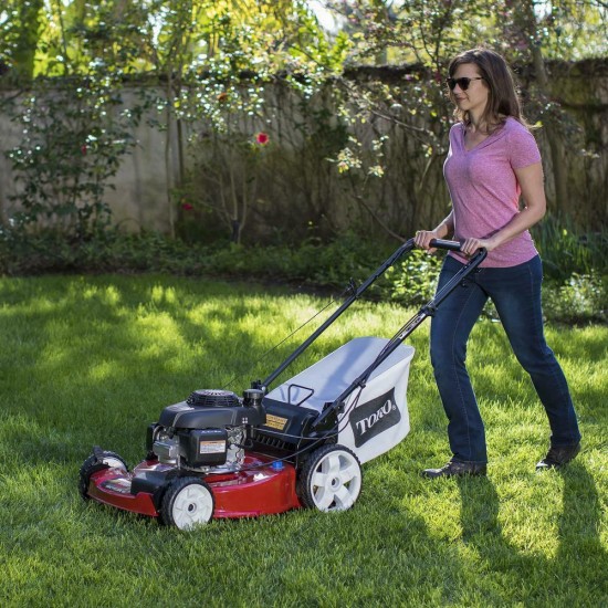 Self Propelled Lawn Mower Gas Walk Behind 22 in. Honda High Wheel Variable Speed